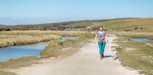 Campaign urges dog owners to protect South Downs